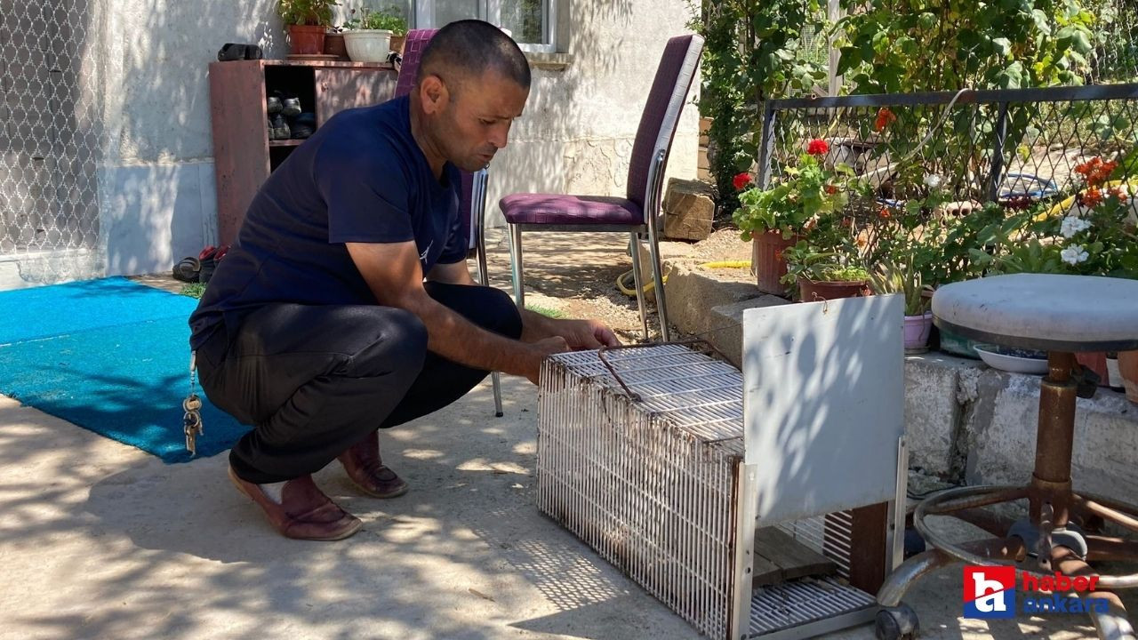 Akyurt'ta son yılan bükücü! Ankara’nın efsaneleri arasına girdi