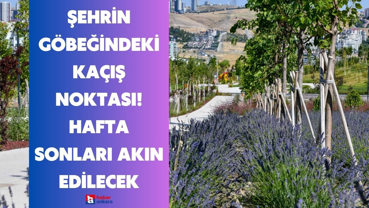 Ankara'nın göbeğindeki kaçış noktası! Kokusuyla huzur verecek hafta sonları akın edilecek