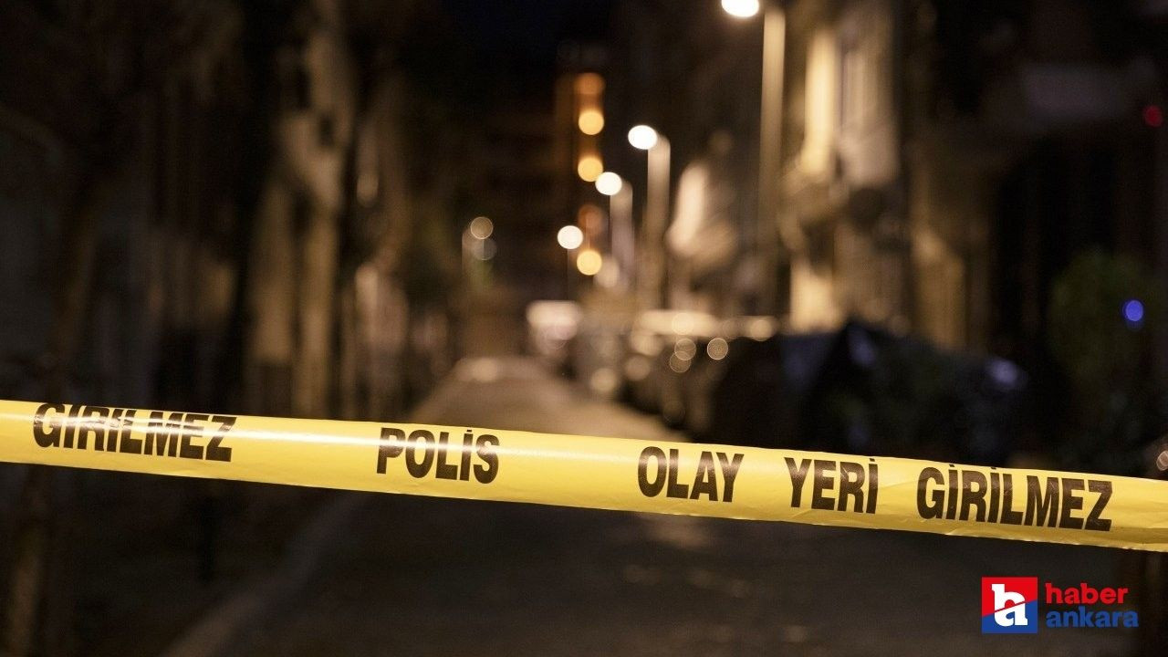 Beypazarı'nda saman yüklü kamyonet devrildi! 1 ölü