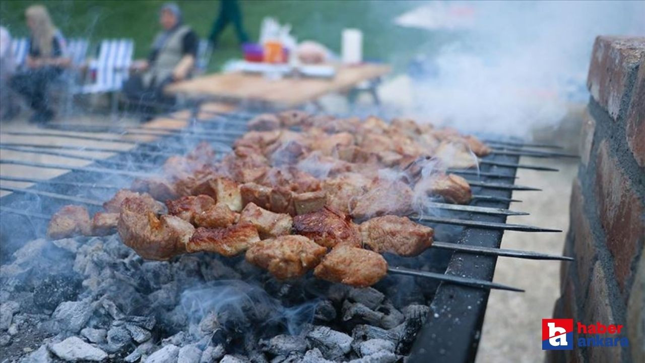 Ankara'da mangal yakacak yer mi arıyorsunuz? Her yerde yasak oralarda serbest işte o adresler!