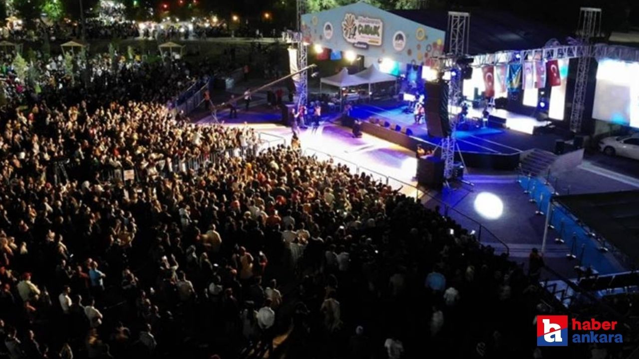 Çubuk Turşu ve Kültür Festivali'nde 4 gün boyunca 4 konser verilecek! İşte konuk olacak sanatçılar