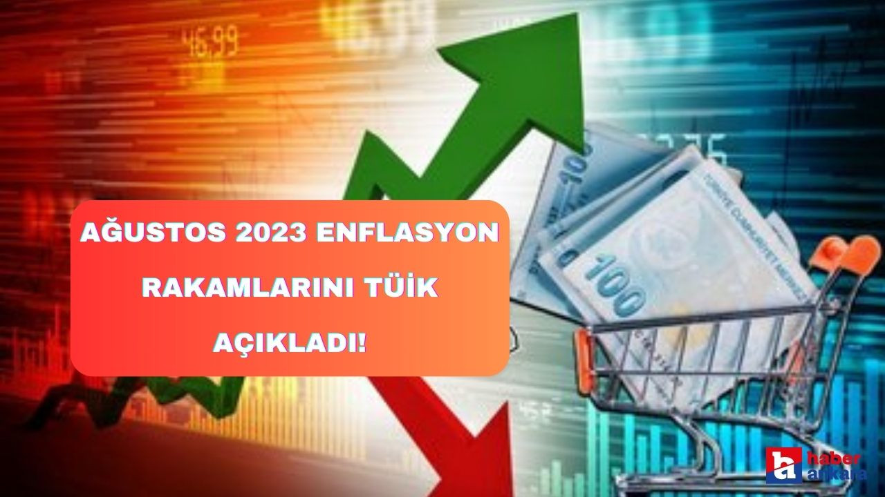 Ağustos 2023 enflasyon rakamları TÜİK tarafından açıklandı!