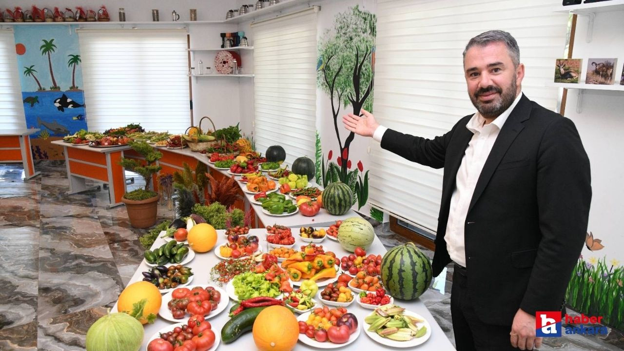 Pursaklar Endemik Vadi'deki Ata Bahçesi’nde yetiştirilen sebzelerin hasadı başladı