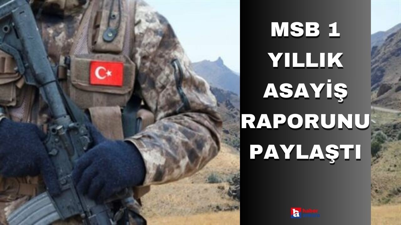 MSB 1 yıllık asayiş raporunu paylaştı