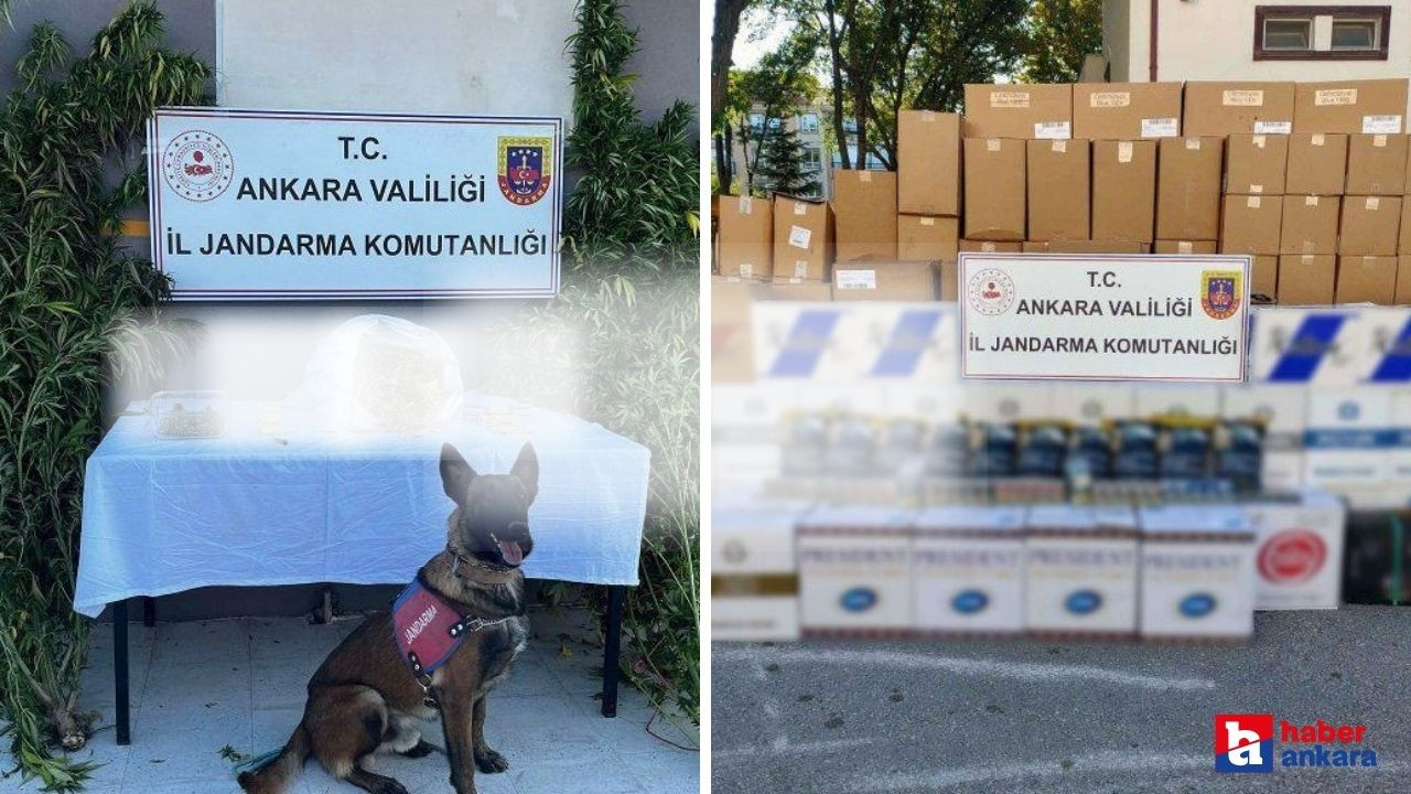 Ankara'nın pek çok ilçesinde kaçak ürün ve yasaklı madde ele geçirildi