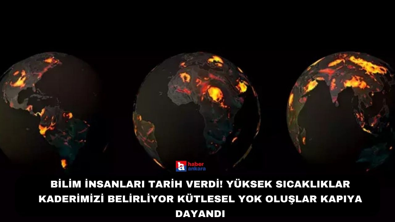 Bilim insanları tarih verdi! Yüksek sıcaklıklar kaderimizi belirliyor kütlesel yok oluşlar kapıya dayandı