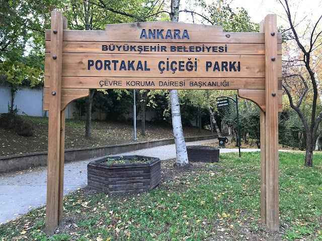 ankara-portakal-cicegi-park.jpg