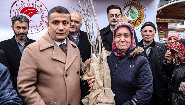 Ankara Kızılcahamam'da ceviz fidanı dağıtıldı