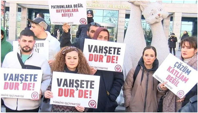 Ankara'da sokak köpeklerinin toplatılmasına hayvanseverler tepki gösterdi! - Resim : 2