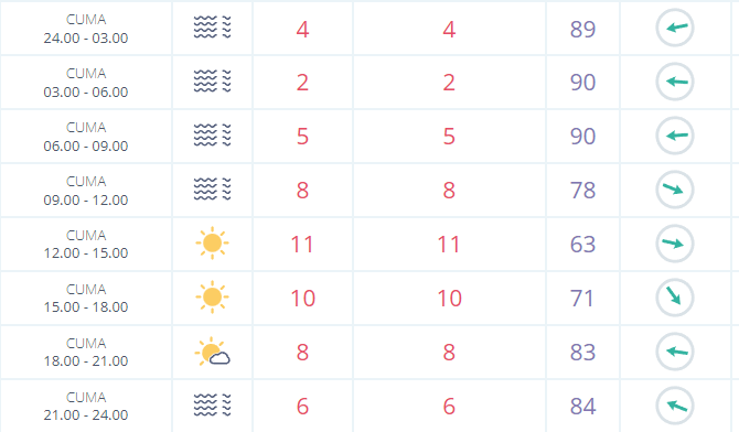 Haftanın son gününde Ankara'da hava puslu olacak!